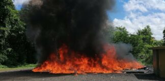En una muestra más del combate constante al tráfico de drogas, fueron incinerados más de 1,060 kilogramos de diferentes sustancias narcóticas, de las cuales más del 77 % corresponden a incautaciones de cocaína, informó ayer sábado la Procuraduría General de la República (PGR).