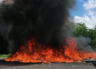En una muestra más del combate constante al tráfico de drogas, fueron incinerados más de 1,060 kilogramos de diferentes sustancias narcóticas, de las cuales más del 77 % corresponden a incautaciones de cocaína, informó ayer sábado la Procuraduría General de la República (PGR).