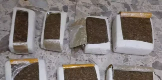 La Dirección Nacional de Control de Drogas (DNCD) informó que incautaron 66 libras de marihuana en una operación de seguimiento y vigilancia, desarrollada en el puesto de chequeo del kilómetro 15 de la provincia de Azua.
