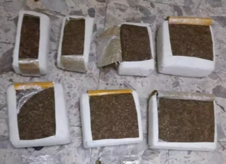 DNCD incauta 66 libras de marihuana dentro de vehículo La Dirección Nacional de Control de Drogas (DNCD) informó que incautaron 66 libras de marihuana en una operación de seguimiento y vigilancia, desarrollada en el puesto de chequeo del kilómetro 15 de la provincia de Azua.
