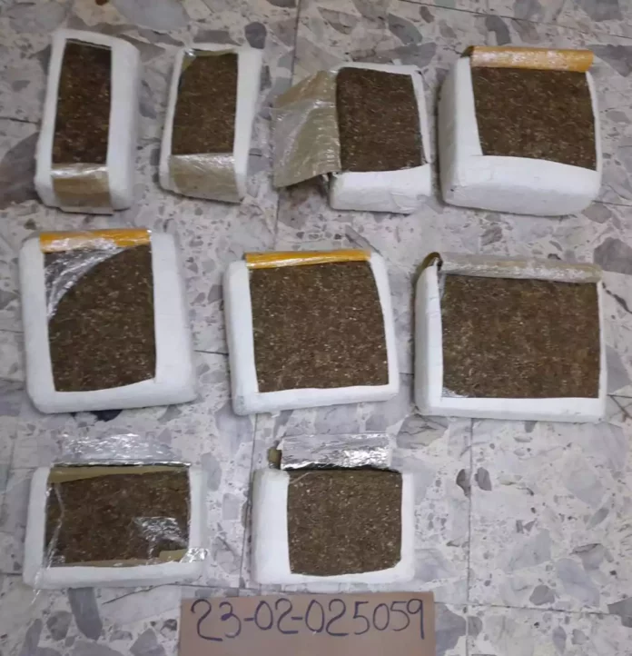 La Dirección Nacional de Control de Drogas (DNCD) informó que incautaron 66 libras de marihuana en una operación de seguimiento y vigilancia, desarrollada en el puesto de chequeo del kilómetro 15 de la provincia de Azua.