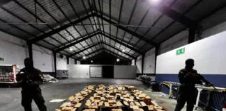 La Dirección Nacional de Control de Drogas (DNCD), miembros del Cuerpo Especializado de Seguridad Aeroportuaria e Inspectores de Aduanas, coordinados por miembros del Ministerio Público, incautaron 56 paquetes presumiblemente cocaína, durante un operativo de inspección, desarrollado en el Aeropuerto Internacional de las Américas, JFPG.