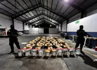 DNCD incauta 56 paquetes de cocaína en carga de cocos en el AILA La Dirección Nacional de Control de Drogas (DNCD), miembros del Cuerpo Especializado de Seguridad Aeroportuaria e Inspectores de Aduanas, coordinados por miembros del Ministerio Público, incautaron 56 paquetes presumiblemente cocaína, durante un operativo de inspección, desarrollado en el Aeropuerto Internacional de las Américas, JFPG.
