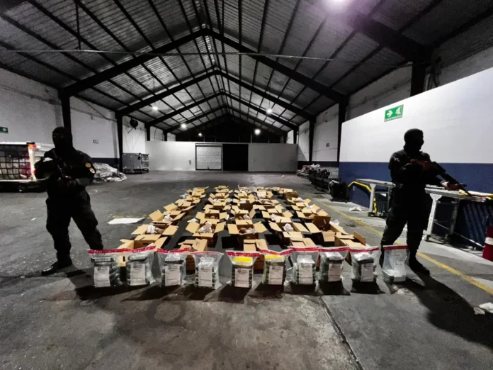 La Dirección Nacional de Control de Drogas (DNCD), miembros del Cuerpo Especializado de Seguridad Aeroportuaria e Inspectores de Aduanas, coordinados por miembros del Ministerio Público, incautaron 56 paquetes presumiblemente cocaína, durante un operativo de inspección, desarrollado en el Aeropuerto Internacional de las Américas, JFPG.