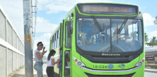 La Oficina Metropolitana de Servicios de Autobuses (OMSA) , informó, que procederá con la investigación, del incendio de tres vehículos, ocurrido en la noche del jueves, hasta el momento no se han registrado muertos o heridos.