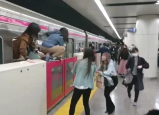 Mujer acuchilla a cuatro personas en un tren en Tokio
