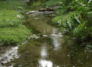 Encuentran el cuerpo de una mujer cerca del río Licey en Santiago