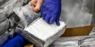 El confeso narcotraficante Miguel Gutiérrez, traficó entre el 2014 y el 2020 más de 51,000 kilogramos de cocaína a Estados Unidos utilizando como base operacional Colombia y la República Dominicana.