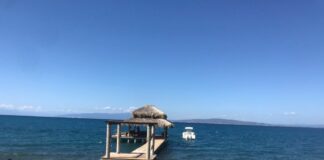 Un empresario de bienes raíces fue asesinado a palos supuestamente por haitianos que trabajaban para él en una casa de veraneo de Palmar de Ocoa, en esta provincia.