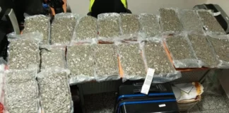 La Dirección Nacional de Control de Drogas (DNCD) y miembros del Cuerpo Especializado de Seguridad Aeroportuaria, incautaron 40 paquetes de marihuana durante operativo de inspección realizado en el Aeropuerto Internacional de las Américas (AILA).