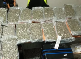 La Dirección Nacional de Control de Drogas (DNCD) y miembros del Cuerpo Especializado de Seguridad Aeroportuaria, incautaron 40 paquetes de marihuana durante operativo de inspección realizado en el Aeropuerto Internacional de las Américas (AILA).