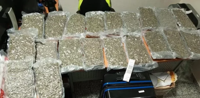 La Dirección Nacional de Control de Drogas (DNCD) y miembros del Cuerpo Especializado de Seguridad Aeroportuaria, incautaron 40 paquetes de marihuana durante operativo de inspección realizado en el Aeropuerto Internacional de las Américas (AILA).