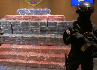 Ocupan otro cargamento de 767 paquetes presumiblemente cocaína en Peravia La Dirección Nacional de Control de Drogas (DNCD) informó que ocuparon otro cargamento de 767 paquetes presumiblemente cocaína, en las costas de la provincia Peravia.