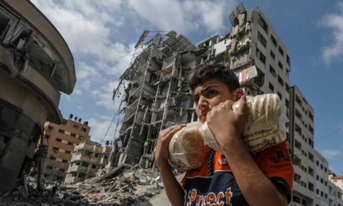 La creciente crisis de alimentos en Gaza ha llevado a la hambruna a un cuarto de la población palestina en esa franja, donde hoy es desesperada la inseguridad alimentaria, confirmó la Organización Mundial de la Salud (OMS).