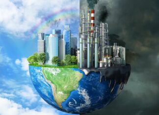 Humanidad celebra Día Mundial del Clima