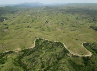 Presidente Abinader afirma cobertura forestal RD aumentó a un 44.03 %