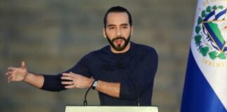 El presidente de El Salvador, Nayib Bukele, ha asegurado que podría arreglar el aumento de violencia que se está viviendo en Haití durante las últimas semanas.