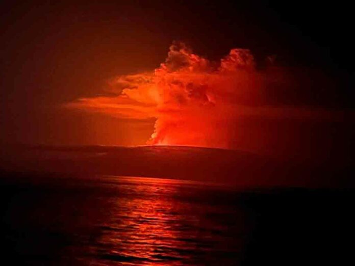 Expertos en Ecuador se mantienen atentos hoy a la actividad del volcán La Cumbre, ubicado en la isla Fernandina, en Galápagos, tras comenzar con un nuevo proceso de erupción.