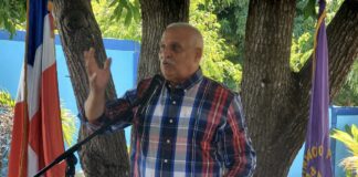El ex vicepresidente de la República, Jaime David Fernández Mirabal, lamentó los recientes hechos de sangre que han enlutado al país y afirmó que «la seguridad ciudadana ha fracasado”.