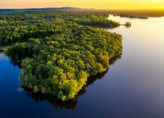 Se registra la reducción de forestación mas baja en la Amazonía Imagen Ilustrada