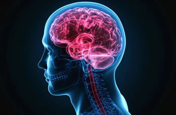 El viagra puede reducir el riesgo de Alzheimer en más del 50%, según estudio