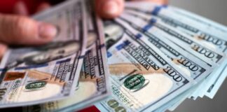 Dólar en su nivel más alto