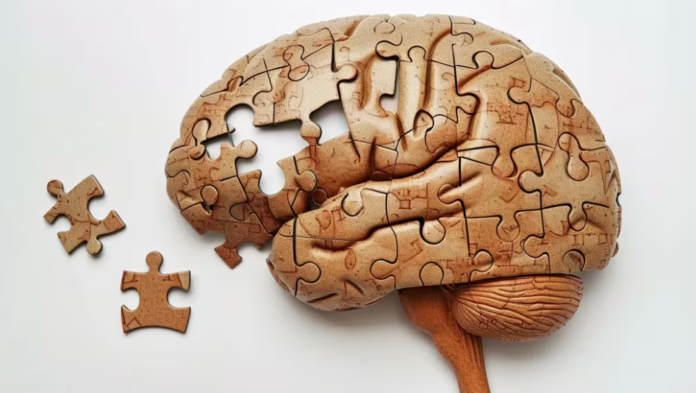 A qué edad empieza la pérdida de memoria y cómo estimular la mente para prevenirla