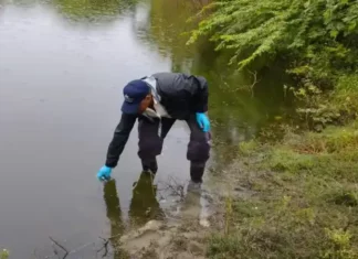 Medio Ambiente investiga muerte de peces en laguna de Puerto Plata