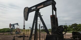 Reportan estabilidad en los precios del petróleo