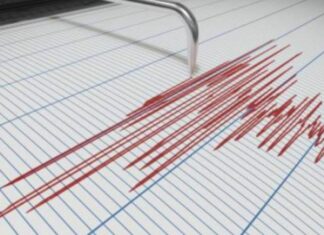 Sismos sacuden capital de Ecuador en menos de 15 minutos