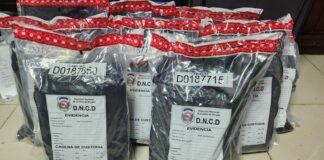 Una mujer llegó de Boston con 22 paquetes de marihuana en sus maletas
