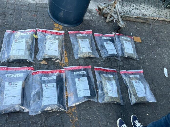 DNCD confisca 32 paquetes de marihuana en tanque de comida