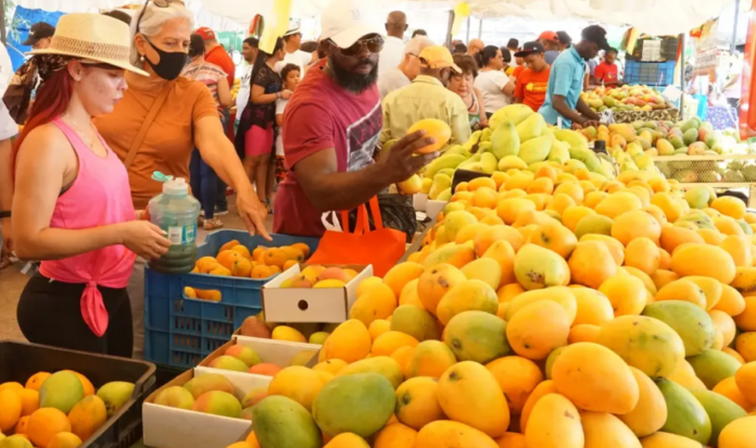Festival de la Cosecha del Mango Dominicano inicia este 29 de mayo