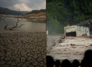Más allá de la descarbonización: los desafíos de la crisis climática en América Latina