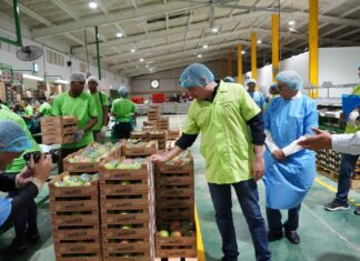 Realizan feria de empleo en el parque de zona franca de Matanza