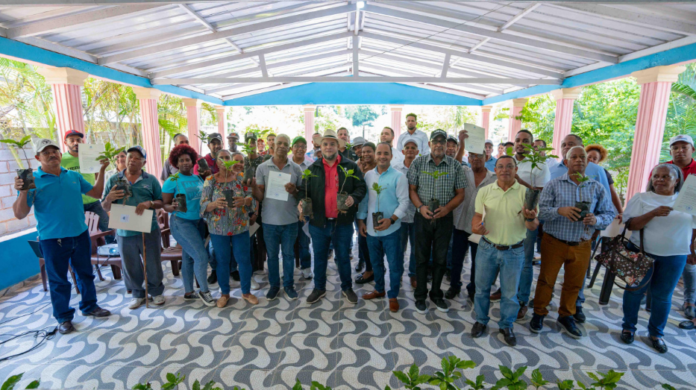 FEDA dona más de 100,000 plantas en Pedernales
