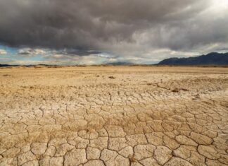 ONU insta a restaurar las tierras y ecosistemas degradados