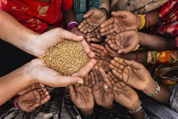 RD reduce el hambre en un 55 % en tres años según FAO