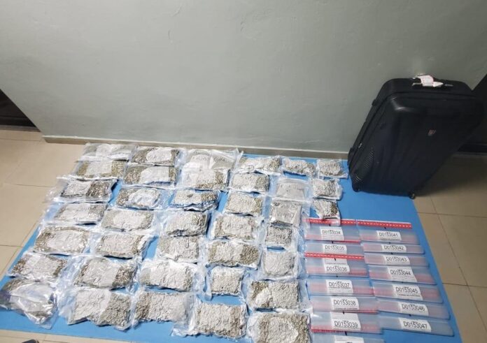 Confiscan maleta cargada con 38 paquetes de marihuana en Aeropuerto Gregorio Luperón