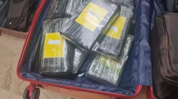 Frustran envío de 39 paquetes presumiblemente cocaína a Suiza