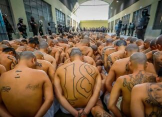 Bukele excluye pandilleros de política de reeducación en El Salvador