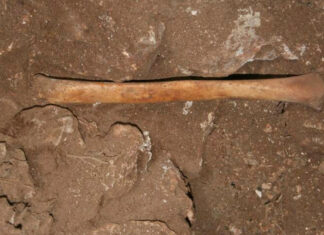 Pruebas de ADN identifican al obispo que descubrió la tumba del apóstol Santiago