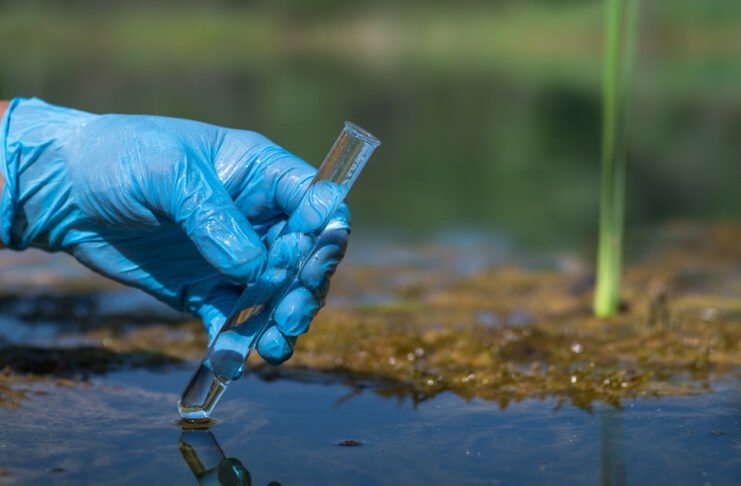 Revelan la chocante escala de contaminación fecal en el agua