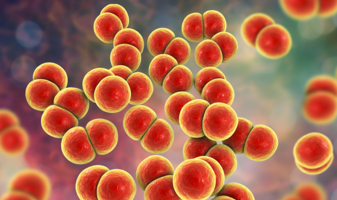 La gonorrea podría volverse incurable, alertan los expertos