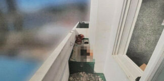 Arrestan a un hombre acusado de matar a su pareja y sepultarla bajo cemento en su casa