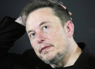 Elon Musk se pronuncia sobre el posible intento de asesinato de Trump