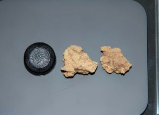 Hallan el queso más antiguo del mundo en el cuello de unas momias en China