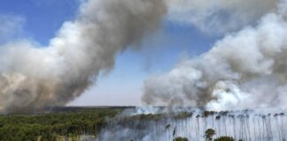 Los incendios en Brasil disparan las emisiones de carbono a cifras récord