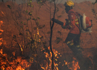 Los voraces fuegos inauguran una nueva era de ‘megaincendios’ en Brasil