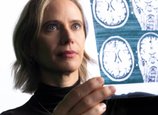 Por primera vez muestran los cambios en el cerebro durante el embarazo